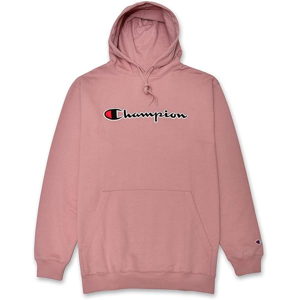 Amazon.com: Champion Big and Tall Mens Color Block Full Zip Hoodie